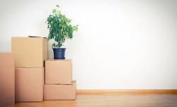 Top-quality Packing Service in Pimlico, SW1