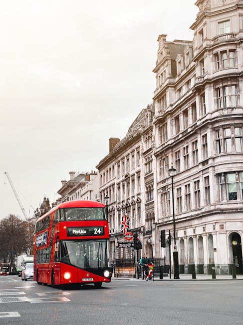 A red double-decker bus, numbered 24 and displaying 'Pimlico' as its destination, is traveling along a city street in the UK. The background features a row of historic, multi-story white buildings with detailed facades and large windows, typical of London architecture. The street scene includes a few pedestrians, some waiting at a bus stop, and bicycle riders nearby. The pavement is wide and clean, with street lamps and traffic lights present at the intersection. Overcast sky provides diffuse natural lighting, and a construction crane is visible in the distance. This urban scene exemplifies transportation and moving logistics common in a London residential area, suitable for a page discussing house removals and furniture transport in Pimlico, as part of the company's specialist guide for moving from St George's Square.